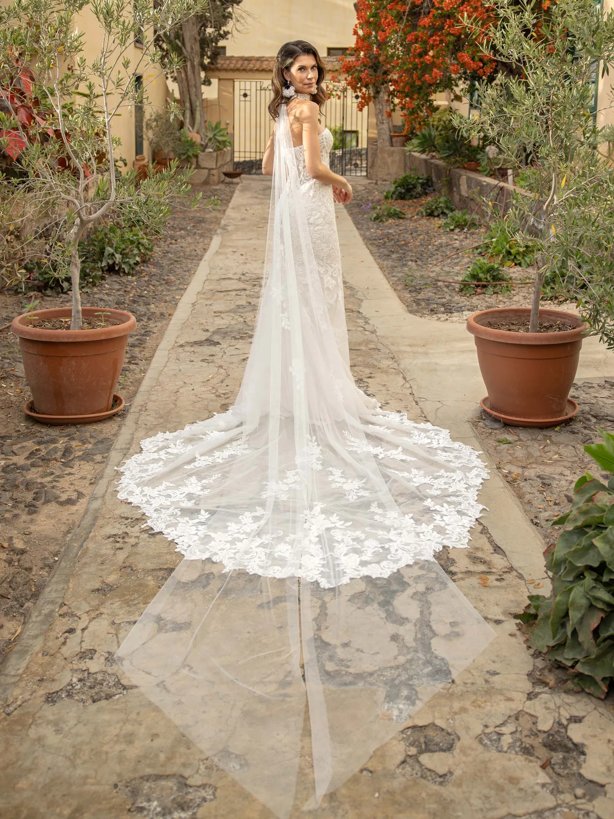Diane Legrand Romance Brautkleid: Romance-8314-12A6300-Edit